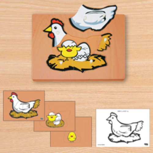 닭 성장퍼즐 (3단겹침)