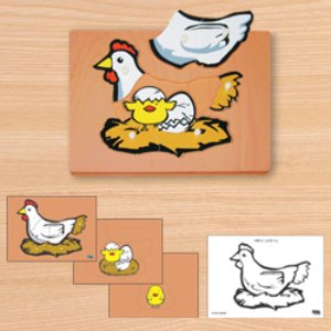 닭 성장퍼즐 (3단겹침)
