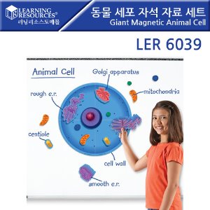 동물 세포 자석 자료 세트 Giant Magnetic Animal Cell [ler6039]