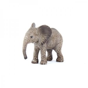 아기 아프리카 코끼리